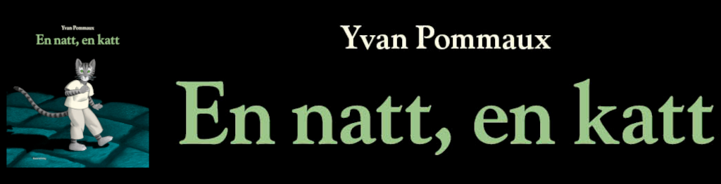 En natt, en katt - Yvan Pommaux