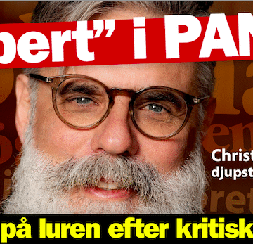 En grund tänkare som används av överheten för att förneka att det finns en djup stat