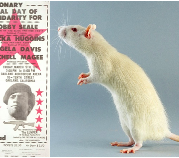 Alla är vi Alcatraz fångar (Del 7: Svarta Pantrar & vita möss)