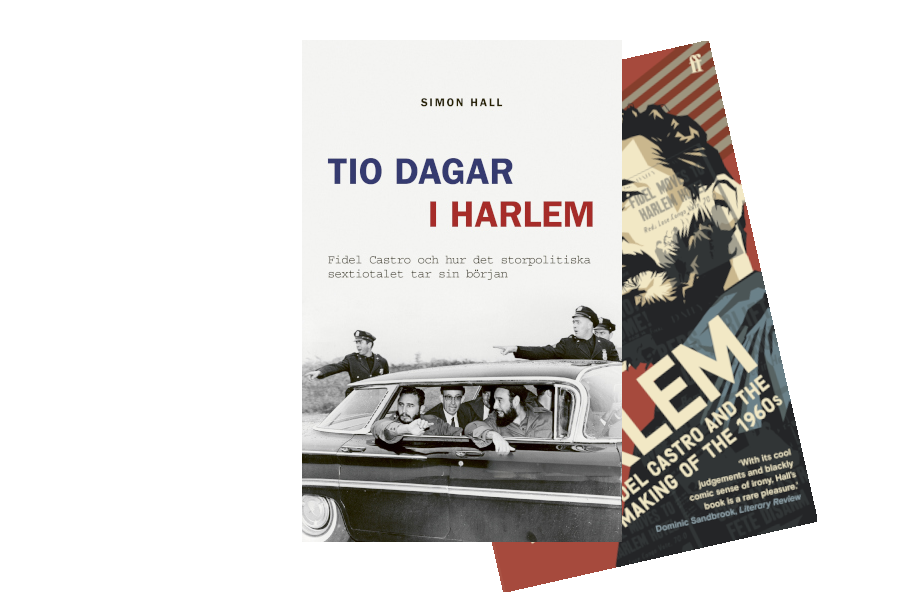 Tio dagar i Harlem