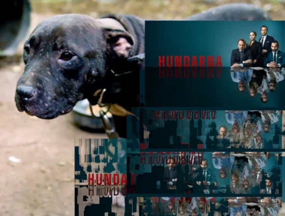 Hundarna